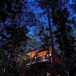 Coffee Acres Kalpetta